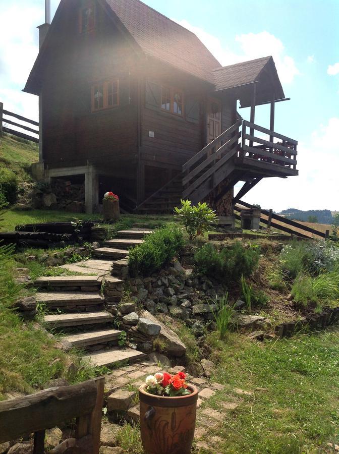 Sowi Dworek Hotel Sokolec Zewnętrze zdjęcie