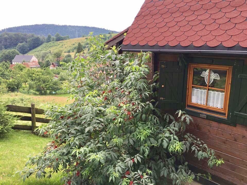 Sowi Dworek Hotel Sokolec Zewnętrze zdjęcie